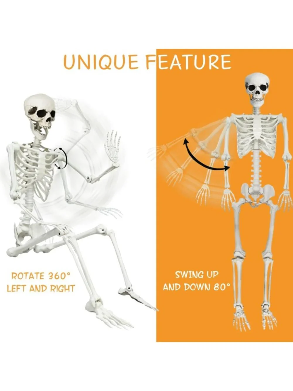 5.4Ft Posable Halloween Skeleton with Dog & Cat - Spooky Decor for Halloween